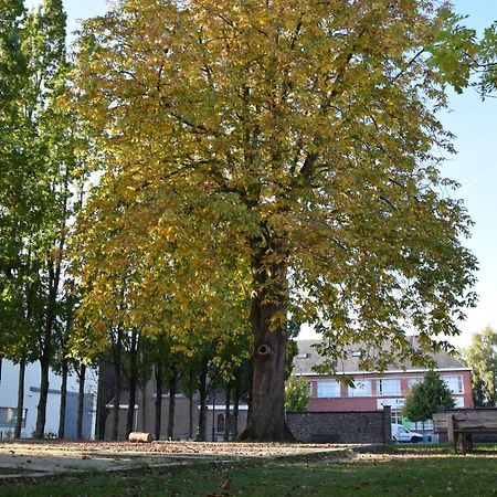 Cacele Raveelzicht Villa Zulte Екстериор снимка
